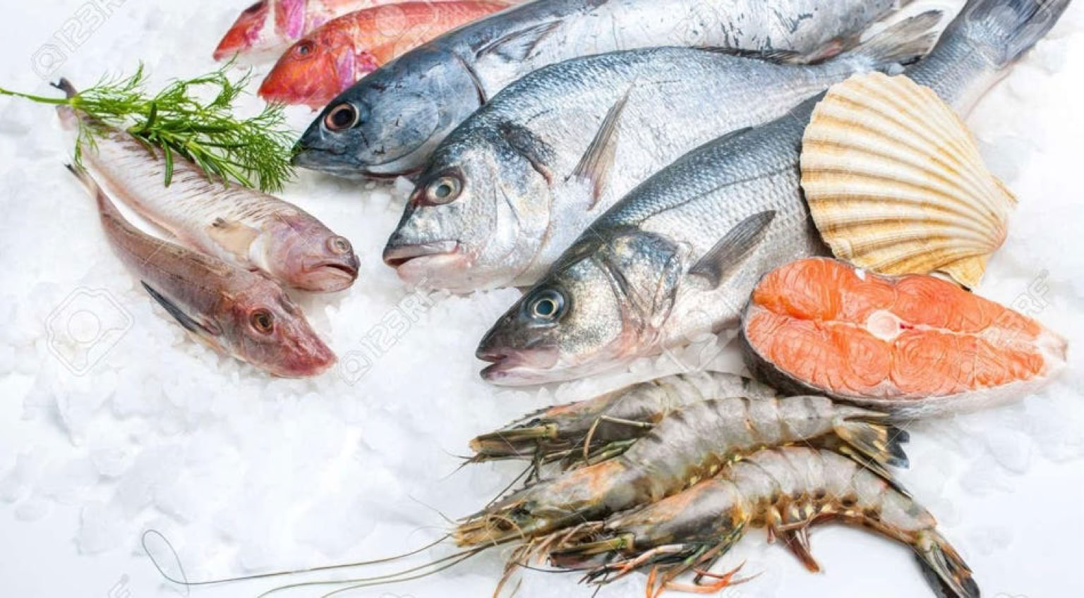 Greek Taverna, Greek Food, Greek Restuarant, Fresh Fish.